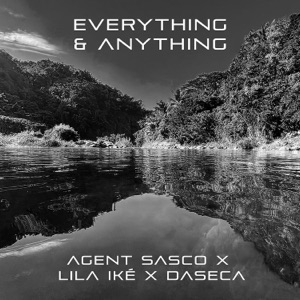 Everything & Anything-Agent Sasco (Assassin)