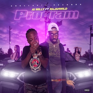 Program-Ai Milly