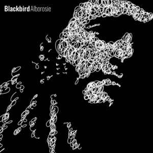 Blackbird