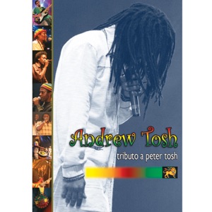 Pick My Self Up-Andrew Tosh