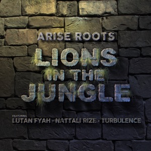 Lions in the Jungle - Arise Roots