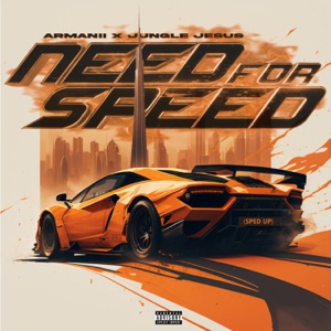 Need for Speed