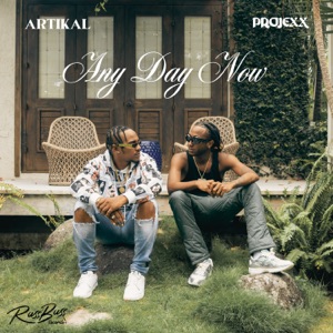 Any Day Now - Artikal