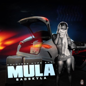 Mula-Badskyla