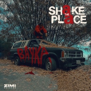 Shake the Place-Bayka