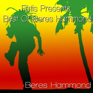 Your Full Attention-Beres Hammond