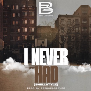 I Never Had-Big Zeeks