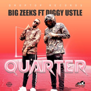 Quarter-Big Zeeks