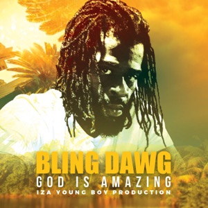 God Is Amazing-Bling Dawg