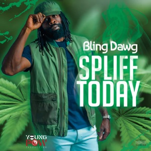 Spliff Today - Bling Dawg