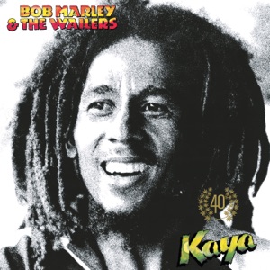 Easy Skanking-Bob Marley 