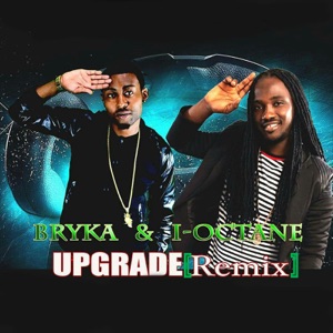 Upgrade-Bryka