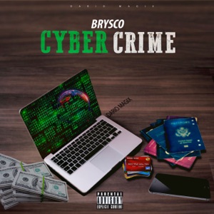 Cyber Crime-Brysco