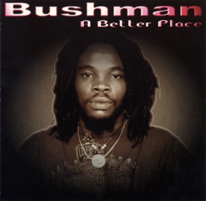 A Better Place-Bushman