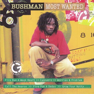 Call the Hearse-Bushman