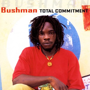 Worries and Problems-Bushman