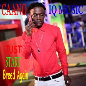 Just Start Breed Again-CAANO