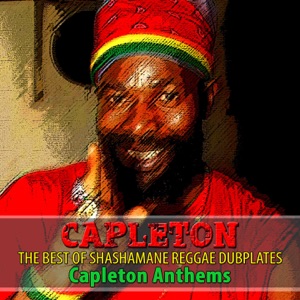 Capleton - The Best of Shashamane Reggae Dubplates