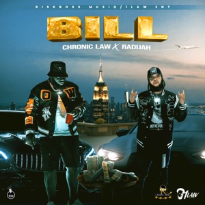 Bill - Chronic Law