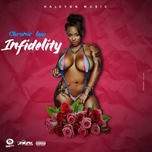 Infidelity-Chronic Law