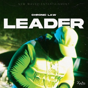 Leader-Chronic Law