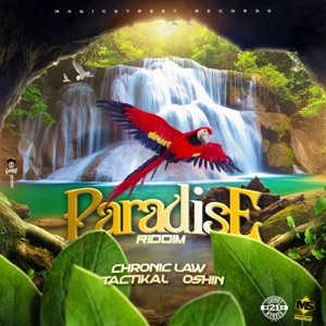 Chronic Law - Paradise Riddim