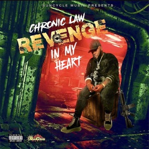 Revenge in My Heart-chronic law