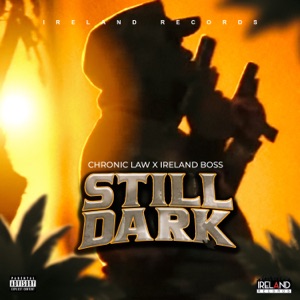 Still Dark-Chronic Law 