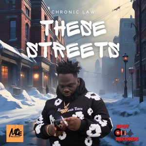 These Streets-chronic law