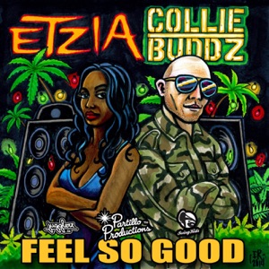 Feel So Good - Collie Buddz 