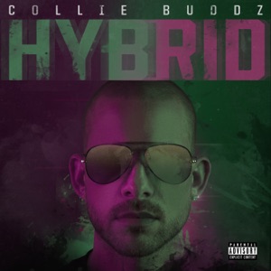 Bank-Collie Buddz