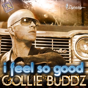 I Feel So Good-Collie Buddz