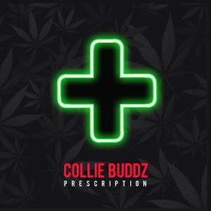 Prescription-Collie Buddz