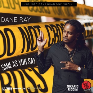 Same as Yuh Say - Dane Ray