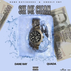 See Me Clean - Dane Ray