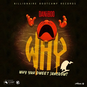 Why-Daniiboo