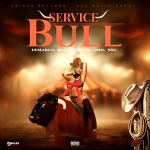 Service Bull - Demarco