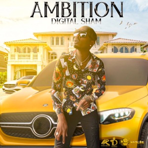 Ambition-Digital Sham