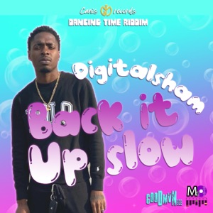 Back It up Slow-Digital Sham