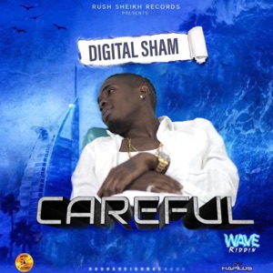 Careful-Digital Sham