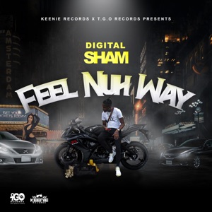 Feel Nuh Way-Digital Sham