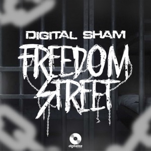 Freedom Street-Digital Sham