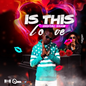 Is This Love-Digital Sham