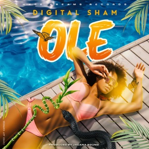 Ole-Digital Sham