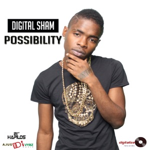 Digital Sham - Possibility