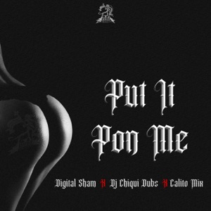 Put It Pon Me - Digital Sham