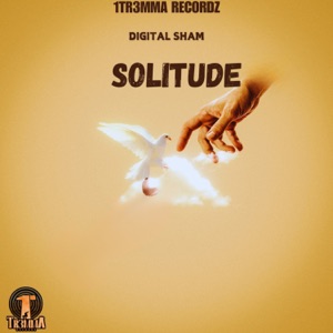 Solitude-Digital Sham