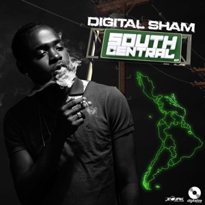 South Central-Digital Sham 