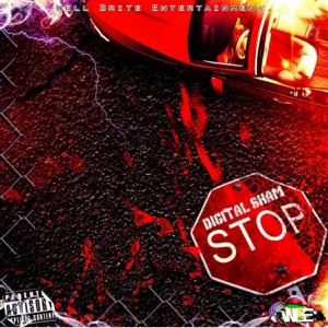 Stop-Digital Sham