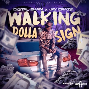 Walking Dolla Sign-Digital Sham 